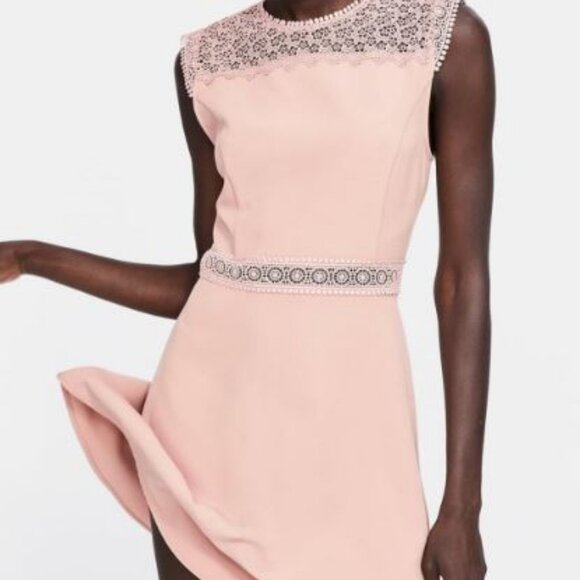 ZARA Blush Pink Lace Yoke Sleeveless Fit & Flare Dress | Medium - Picture 1 of 9